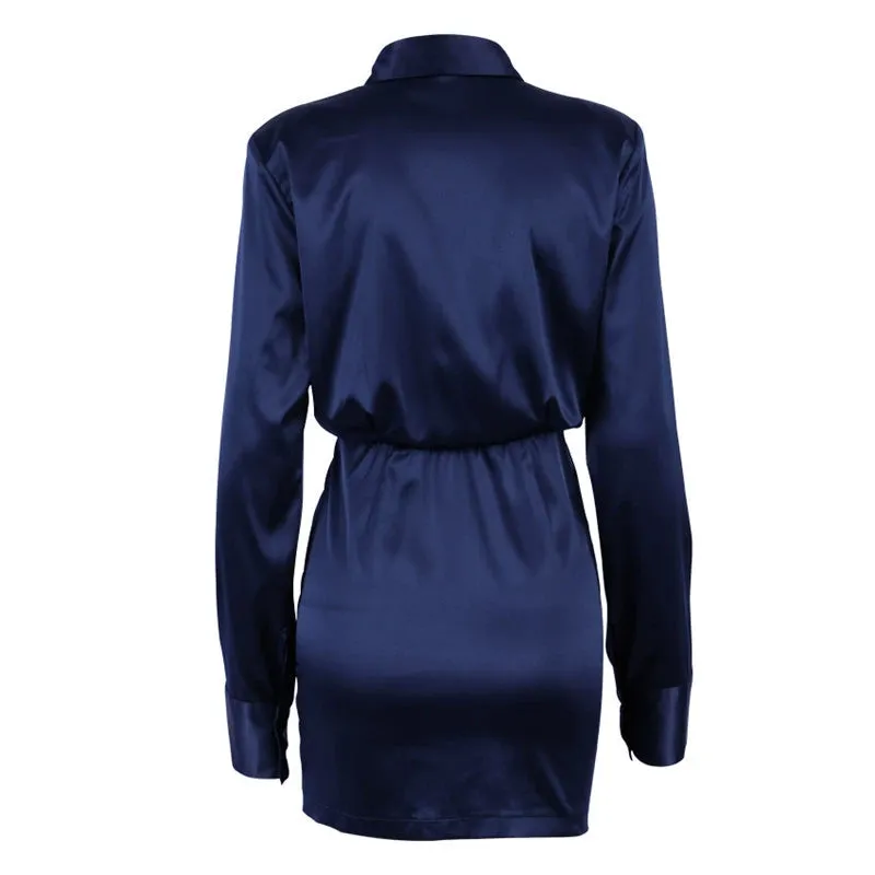Nether Long Sleeve Shirt Dress